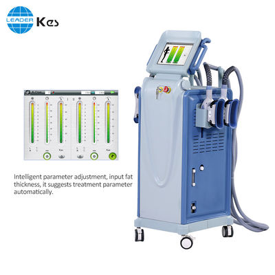 Fetter Frost Sicherheit Cryolipolysis, der Maschine für Cellulite-Reduzierung/Gewichtsverlust abnimmt
